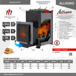 Печь-каменка ALLEGRO 22 (Аллегро 22) конвекционная